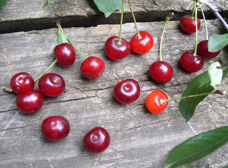 Benefit Of Cherry