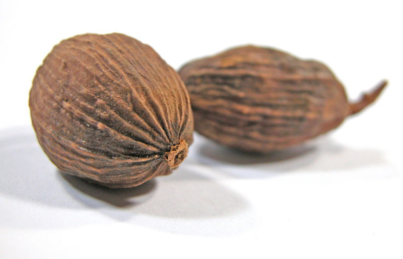 About Nutmeg